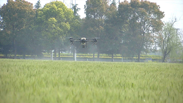 無(wú)人植保 無(wú)人植保